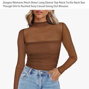 Zeagoo Sheer Brown Long Sleeve Blouse